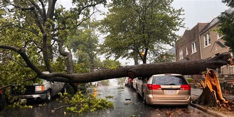 80-mph winds rip through Washington, DC, causing significant damage ...