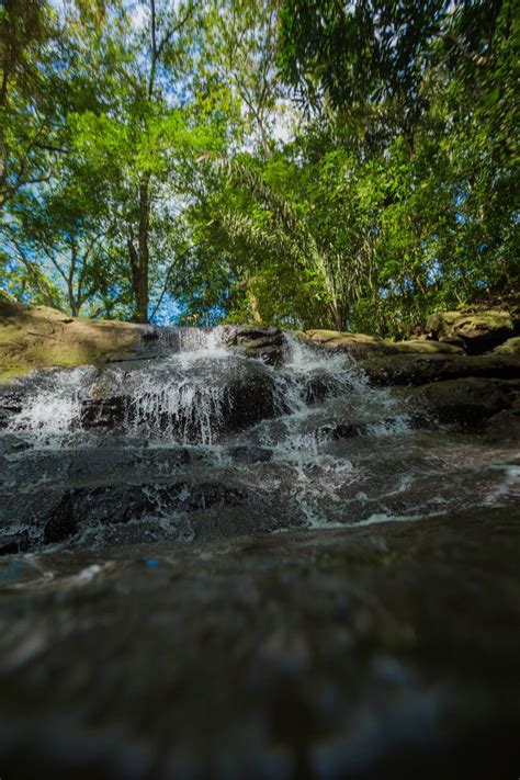 Panama jungle 3 | American islands, Panama, Panama canal