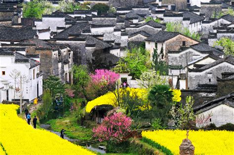 Wuyuan Scenic Area