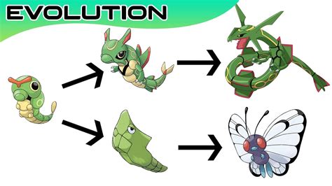 Top 20 Pokémon Evolutions You Didn't Know | Max S - YouTube