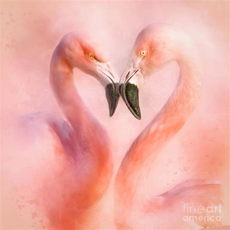 Love is- A Flamingo Heart Digital Art by Brian Tarr