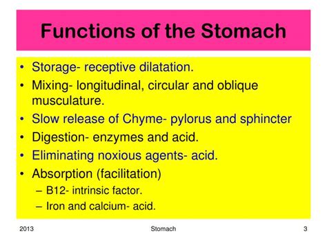 PPT - Stomach PowerPoint Presentation - ID:5275555