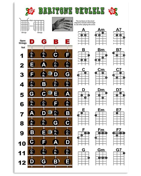 Baritone Ukulele Chords Vertical poster 17x24inches | Etsy