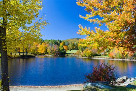 Colorful Mill Pond - New England