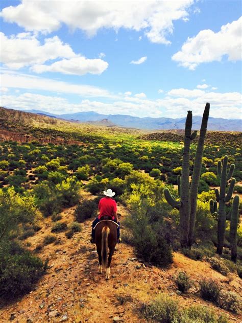 Trail Riding and Camping in the Great State of Arizona