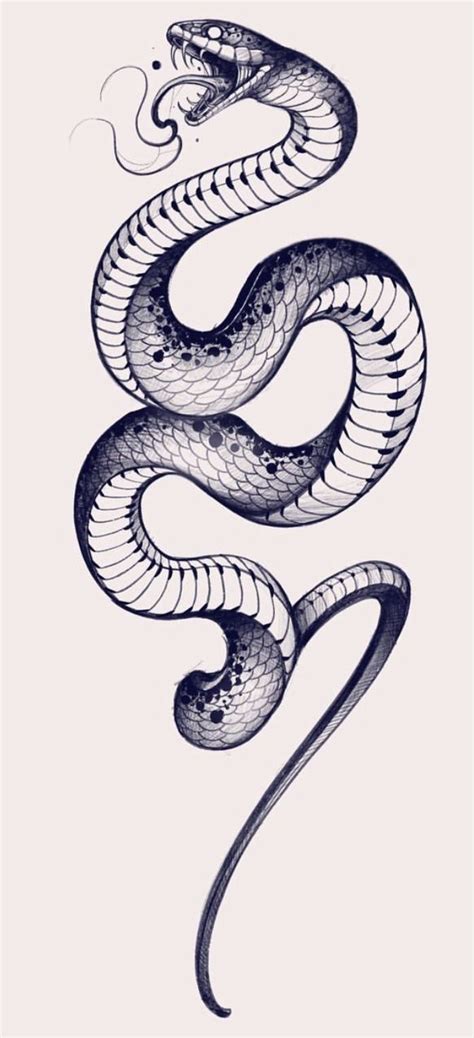 215+ King Cobra Tattoo Ideas (2023) - TattoosBoyGirl | Cobra tattoo, King cobra tattoo, Snake ...