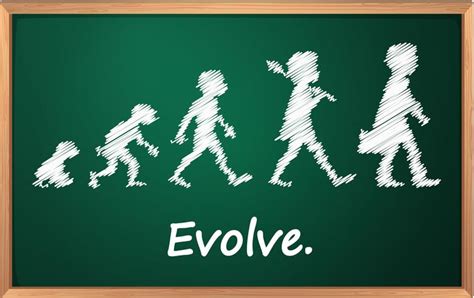 Evolution 430548 Vector Art at Vecteezy