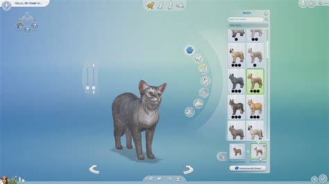 Breeds in The Sims 4 Cats and Dogs - Sims Online