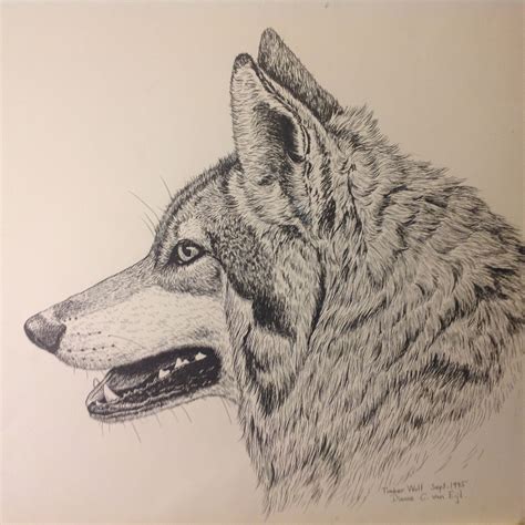 a black and white drawing of a wolf