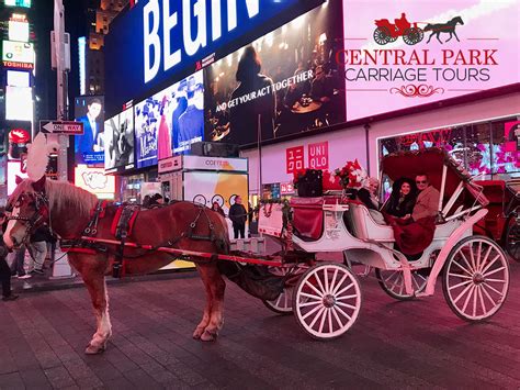 central park carriage rides nyc - Central Park Carriage Tours