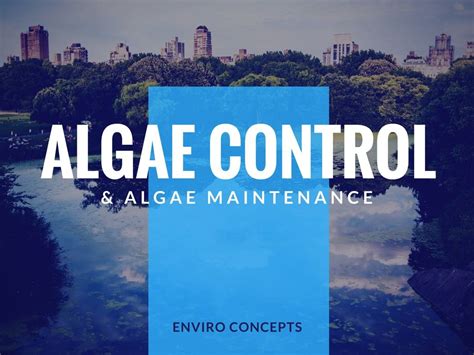 Algae Control | Enviro Concepts - Waste Water Treatment and Wash Bays