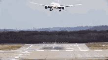 Landing-GIF-er | Tenor