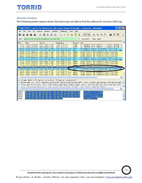 Malware Analysis Report