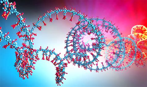 Novel computational tool accurately and quickly detects circular RNA | VCH Research Institute