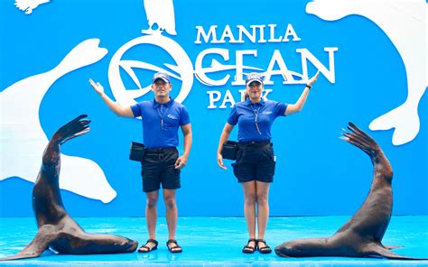 Sea Lion Show | Manila Ocean Park