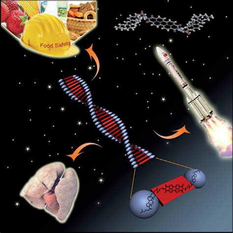 Cover Picture: Atropisomerism in a Belt‐Persistent Nanohoop Molecule ...