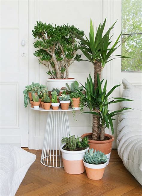 Wonderful Ways to Display Indoor Plants | The Owner-Builder Network