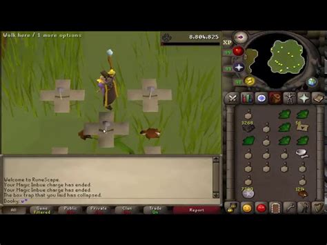 Dig Under Razorlor Toad Batta : Osrs How To Get To The Nightmare Of Ashihama Quick Hd Youtube ...