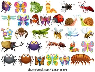 Free Clipart Insects And Bugs