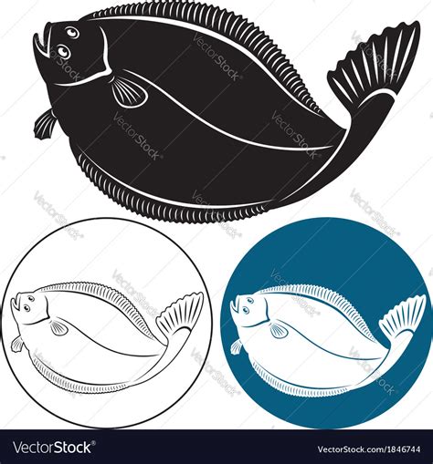 Halibut Royalty Free Vector Image - VectorStock