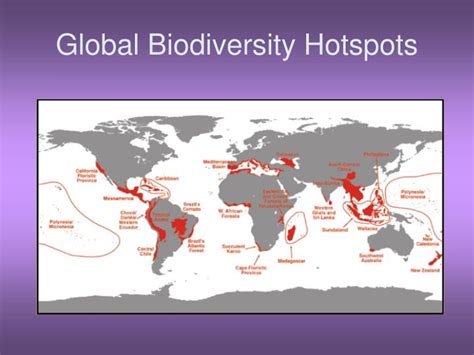 PPT - Chapter 10 Biodiversity PowerPoint Presentation - ID:2267454