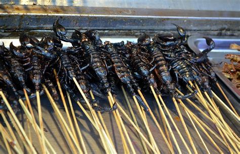 Fried Scorpion (Vietnam and other Asian countries) from Slideshow: Are You Brave Enough to Eat ...