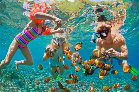 A Guide on Snorkeling on Anna Maria Island