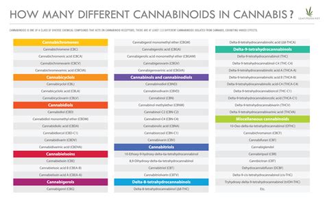 What Are Cannabis Derived Terpenes - leafipedia.net