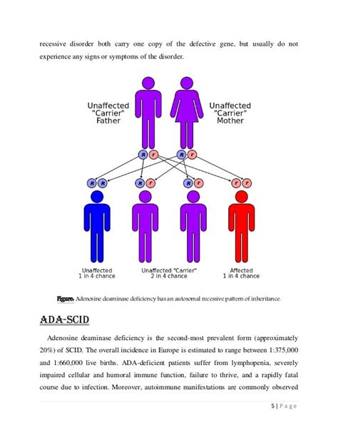 Adenosine deaminase (ADA) Gene Therapy