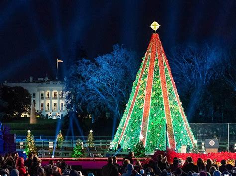 Things to Do in DC Nov. 28-Dec. 4: Tree Lightings, Shows, Films