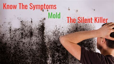 10 Warning Signs of Mold Toxicity in Your Home | Black mold symptoms ...