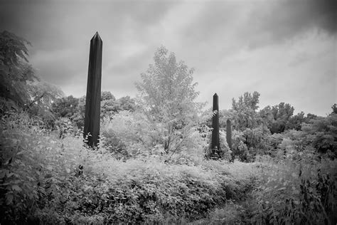 Mount Moriah Cemetery: an Abandoned Cemetery in Philadelphia, PA