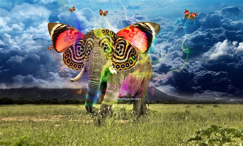 Abstract Elephant by NATOSAURUSREX on DeviantArt