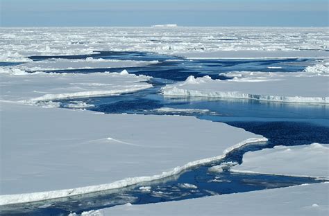 Antarctic sea ice drastically shrinks after more than 3 decades of growth - Earth.com