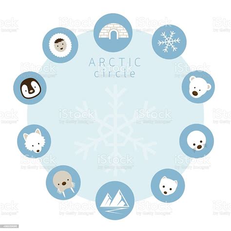 Arctic Animals People Icons Circle Frame Stock Illustration - Download ...