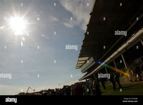 Cheltenham Festival Gold Cup week Stock Photo - Alamy