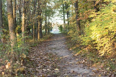 Walking Trails - Delta College