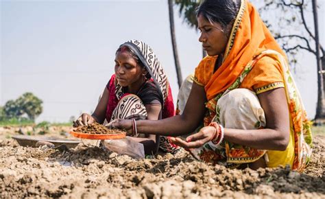 Empowering Women in Agriculture - reNature