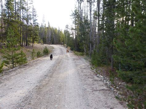 Treasure Seekers: Iron Creek Camping in Stanley Idaho - Day One