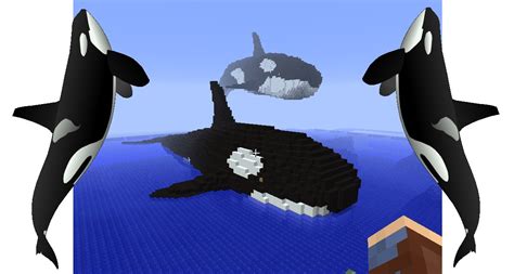 Giant Orca Couple Minecraft Map