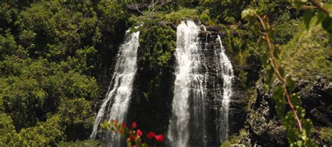 7+ Best Easy-to-view Waterfalls in Kauai