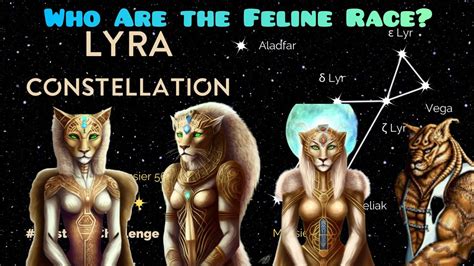 Who Are The Lyran Feline Race Of Extraterrestrial? - YouTube