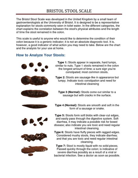 The Bristol Stool Scale - what your stool indicates about your state of health based on shape ...