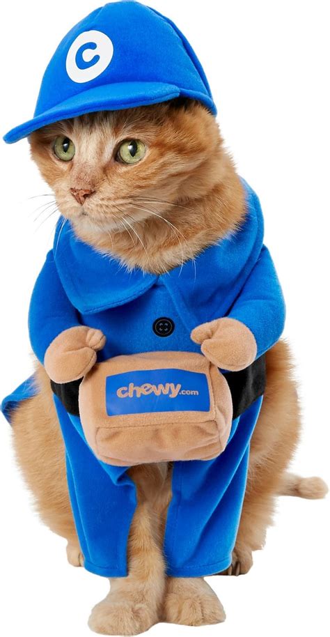 Postman Cat Costume | Best Cat Costumes For Halloween 2020 | POPSUGAR ...