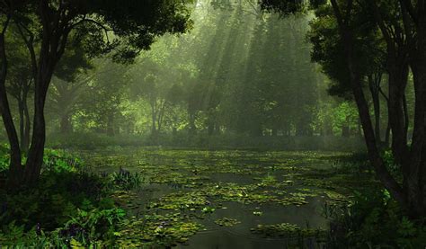 Image result for dark swamp | Hình nền, Phong cảnh, Hình ảnh