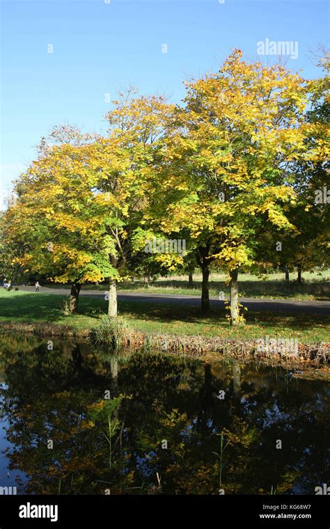 Sefton Park, Autumn time Stock Photo - Alamy