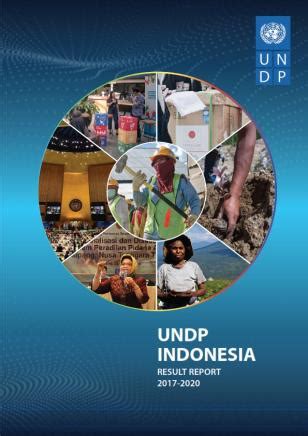 UNDP INDONESIA RESULT REPORT 2017-2020 | United Nations Development ...