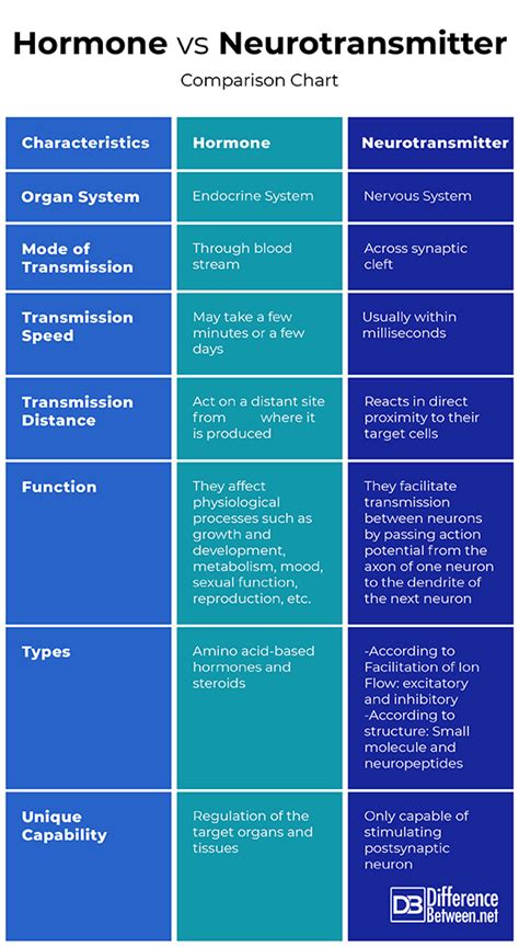 Difference Between Hormones and Neurotransmitters | Difference Between