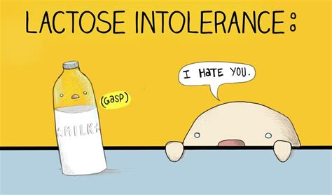 Laktase Laktosa dan Intoleransi Laktosa - Blog AhliGiziID