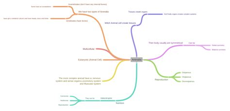 Animalia - Coggle Diagram